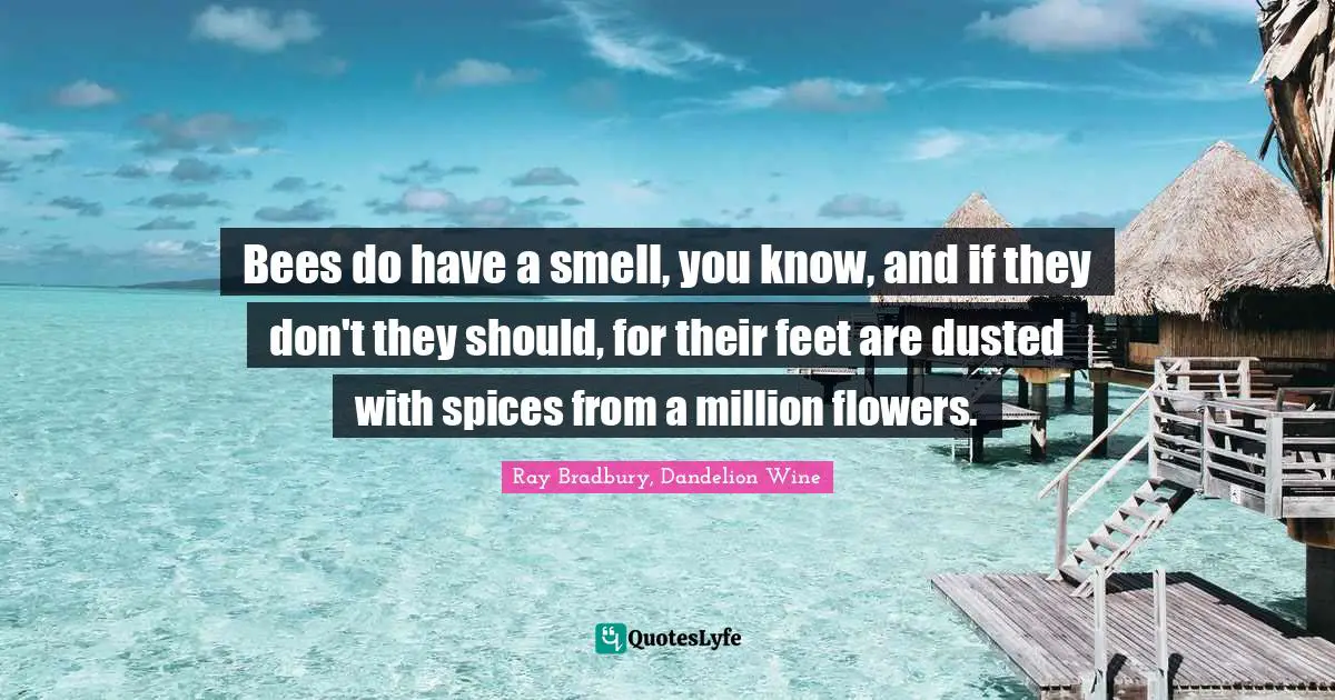 Bees do have a smell, you know, and if they don't they should, for their feet are dusted with spices from a million flowers.