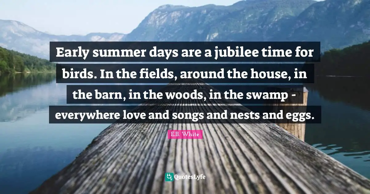 Early summer days are a jubilee time for birds. In the fields, around the house, in the barn, in the woods, in the swamp - everywhere love and songs and nests and eggs.