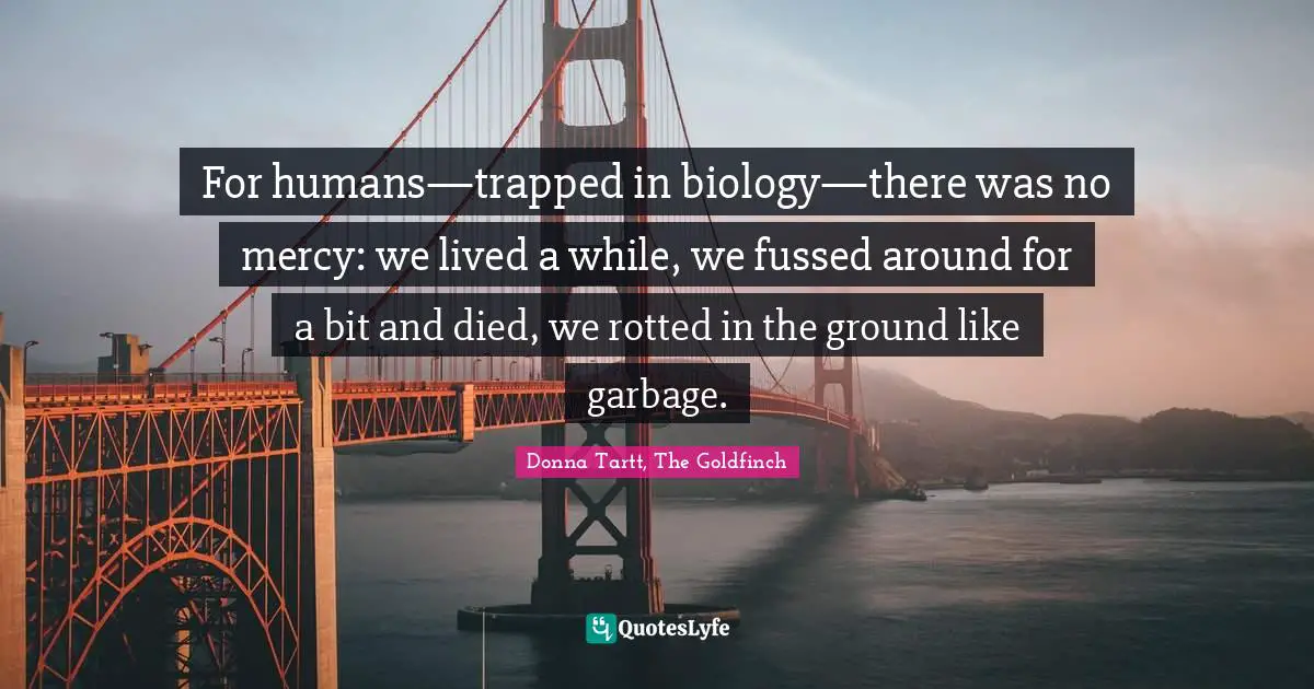 For humans—trapped in biology—there was no mercy: we lived a while, we fussed around for a bit and died, we rotted in the ground like garbage.