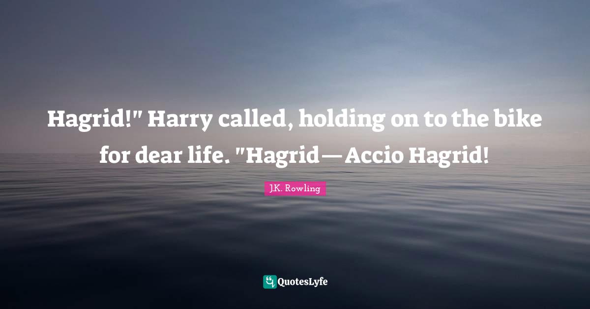 Hagrid!" Harry called, holding on to the bike for dear life. "Hagrid—Accio Hagrid!