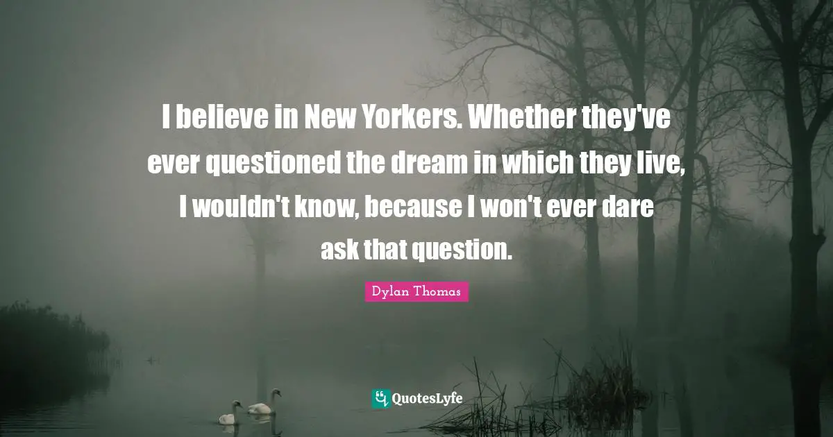 I believe in New Yorkers. Whether they've ever questioned the dream in which they live, I wouldn't know, because I won't ever dare ask that question.