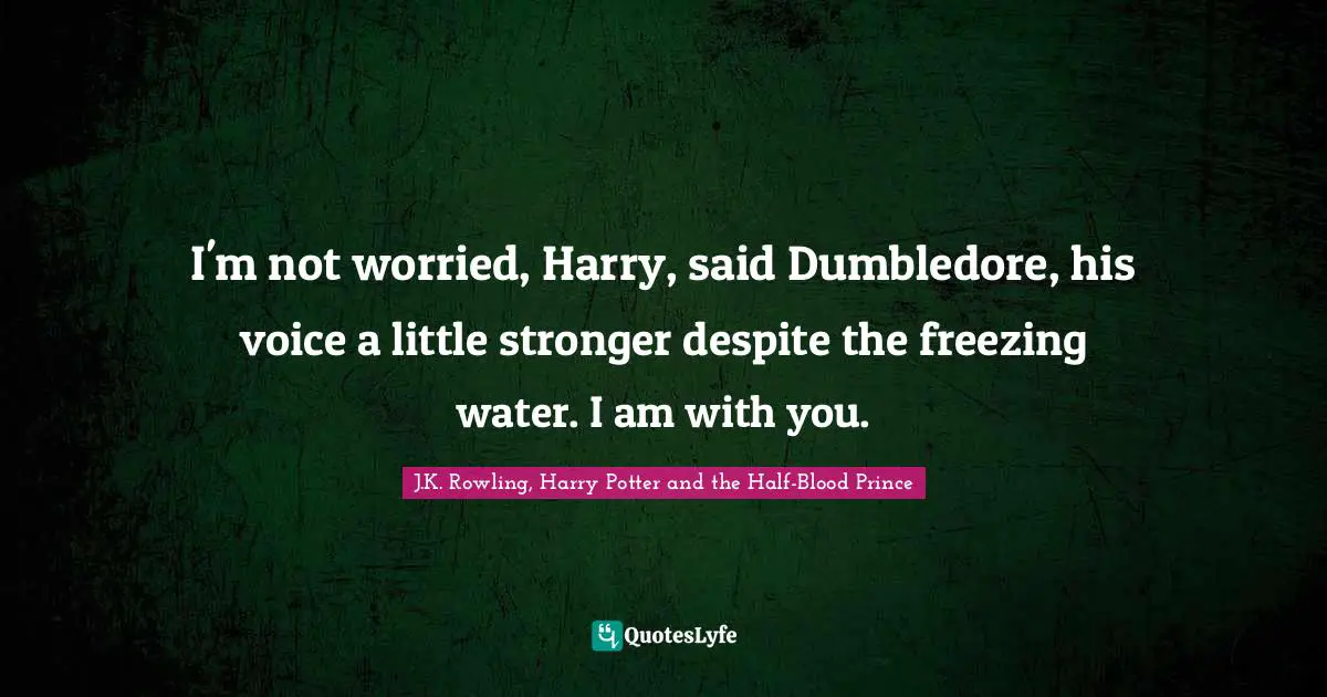 J.K. Rowling, Harry Potter and the Half-Blood Prince Quotes: I'm not worried, Harry, said Dumbledore, his voice a little stronger despite the freezing water. I am with you.