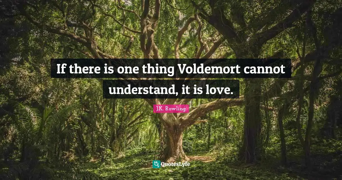 If there is one thing Voldemort cannot understand, it is love.