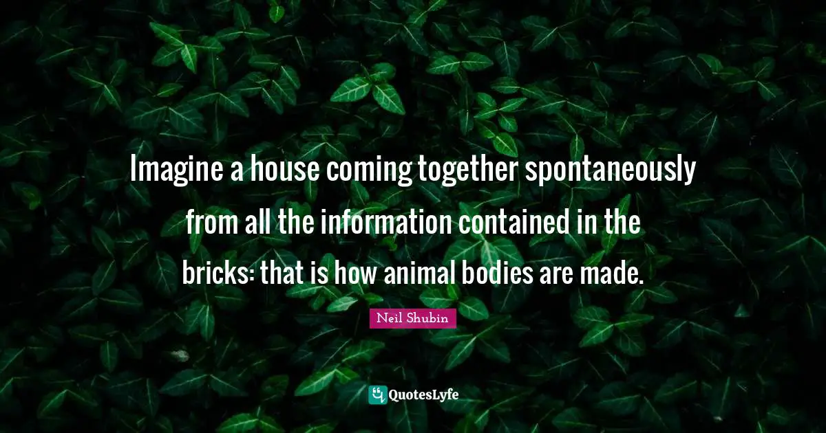 Imagine a house coming together spontaneously from all the information contained in the bricks: that is how animal bodies are made.