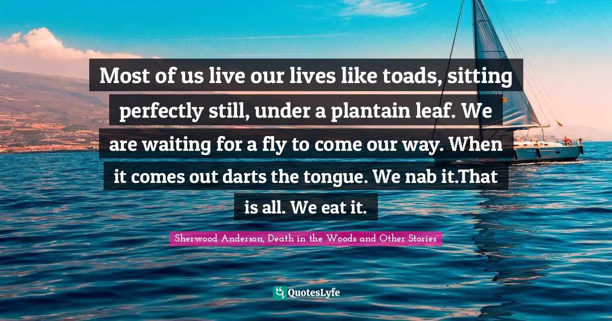 Most of us live our lives like toads, sitting perfectly still, under a plantain leaf. We are waiting for a fly to come our way. When it comes out darts the tongue. We nab it.That is all. We eat it.