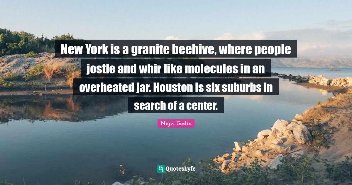 New York is a granite beehive, where people jostle and whir like molecules in an overheated jar. Houston is six suburbs in search of a center.