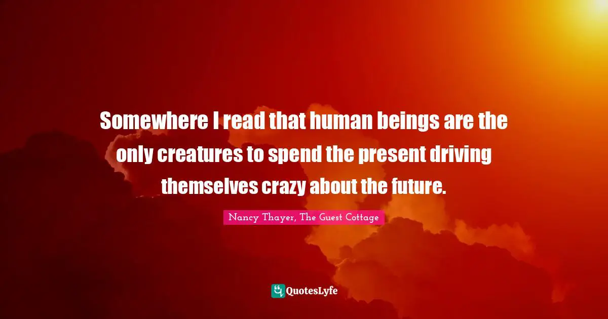 Somewhere I read that human beings are the only creatures to spend the present driving themselves crazy about the future.