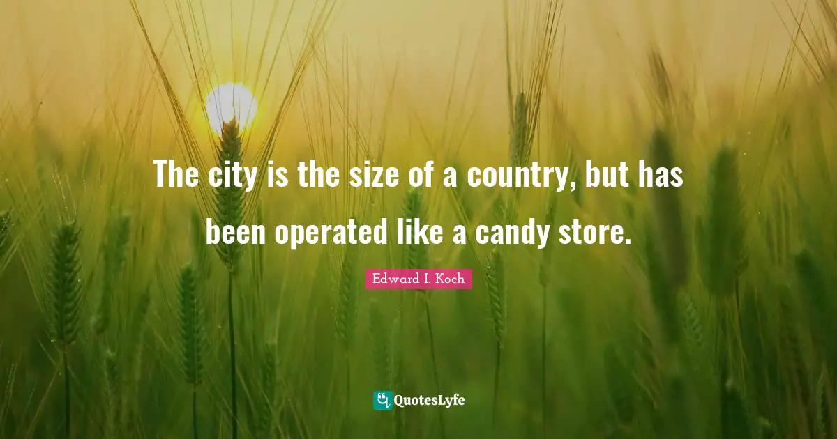 The city is the size of a country, but has been operated like a candy store.
