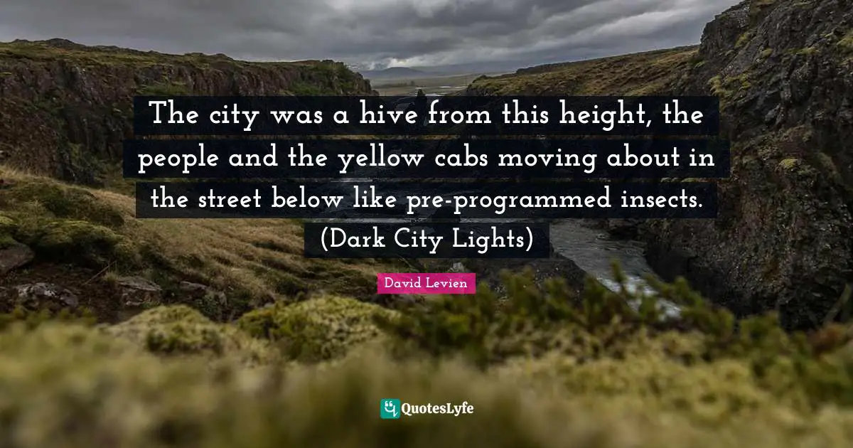 The city was a hive from this height, the people and the yellow cabs moving about in the street below like pre-programmed insects. (Dark City Lights)