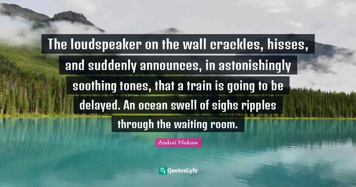 The loudspeaker on the wall crackles, hisses, and suddenly announces, in astonishingly soothing tones, that a train is going to be delayed. An ocean swell of sighs ripples through the waiting room.