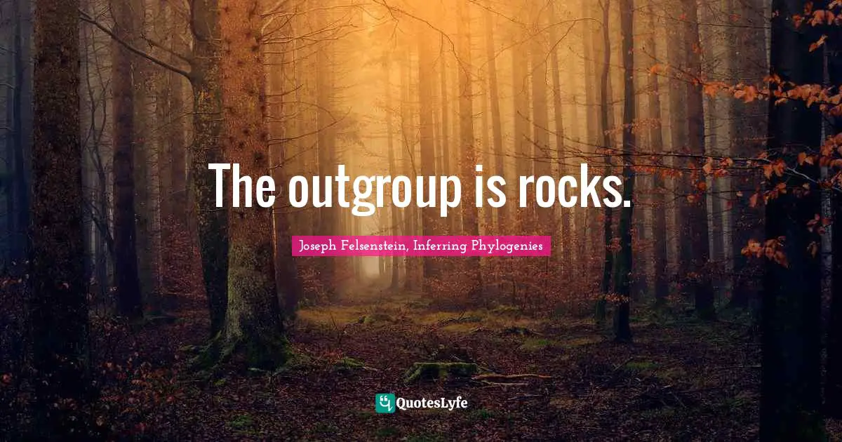 The outgroup is rocks.
