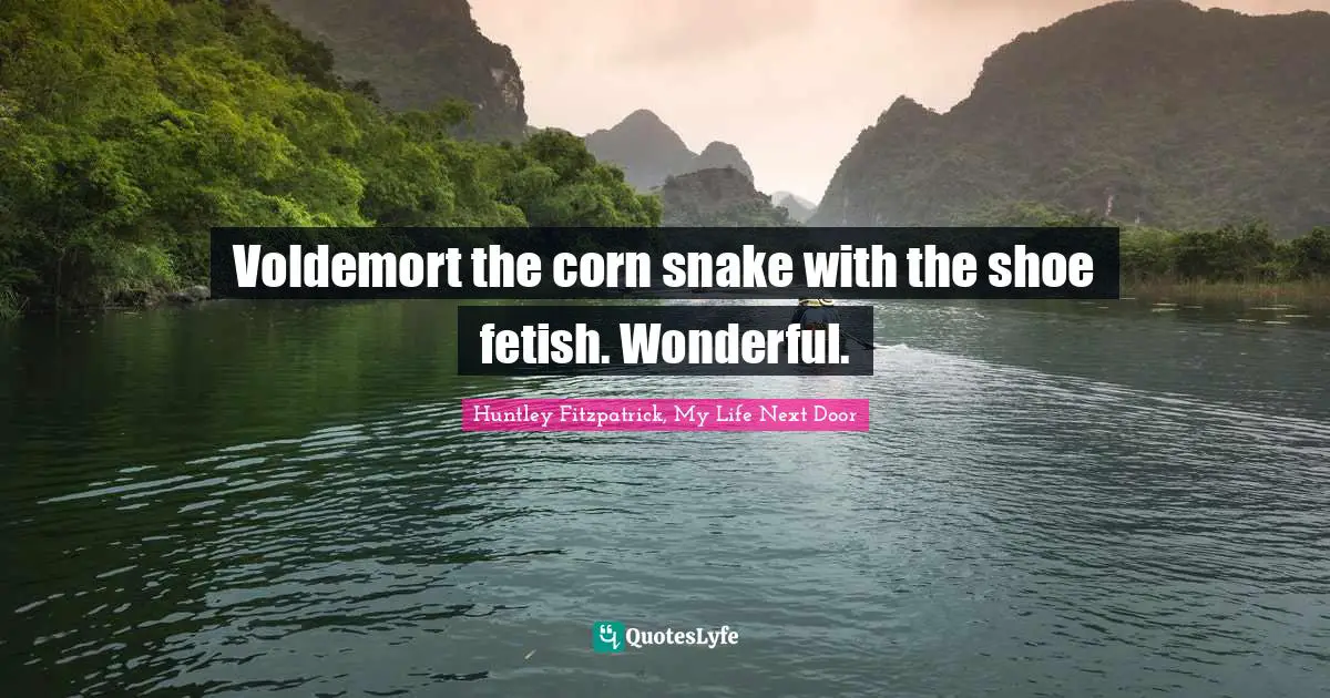 Voldemort the corn snake with the shoe fetish. Wonderful.