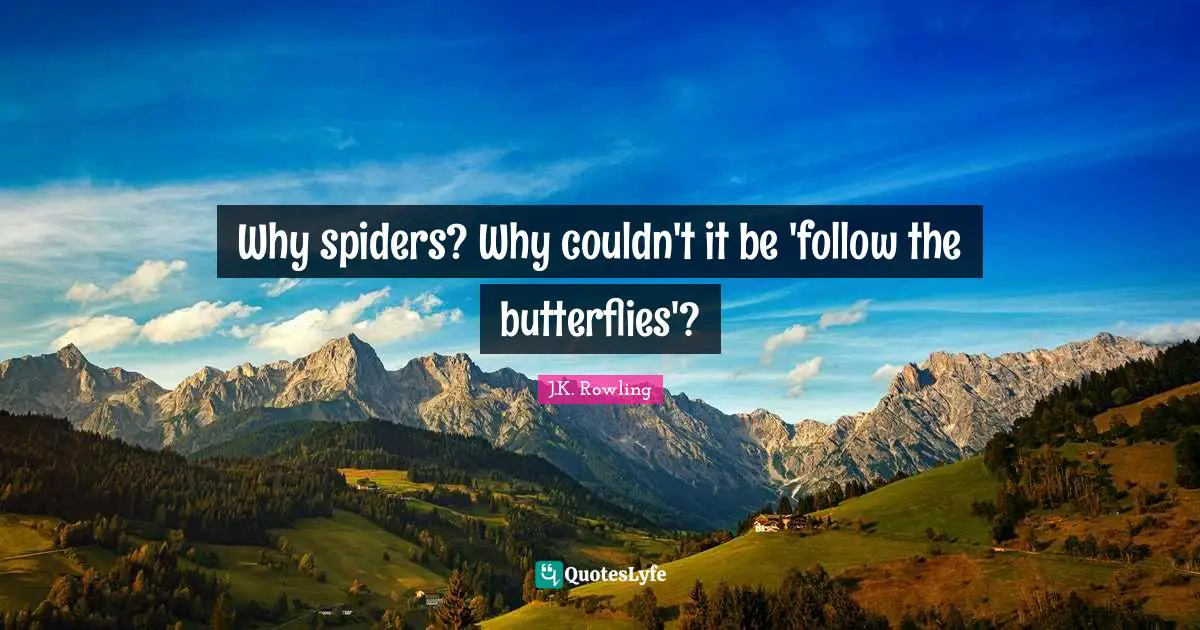 Why spiders? Why couldn't it be 'follow the butterflies'?