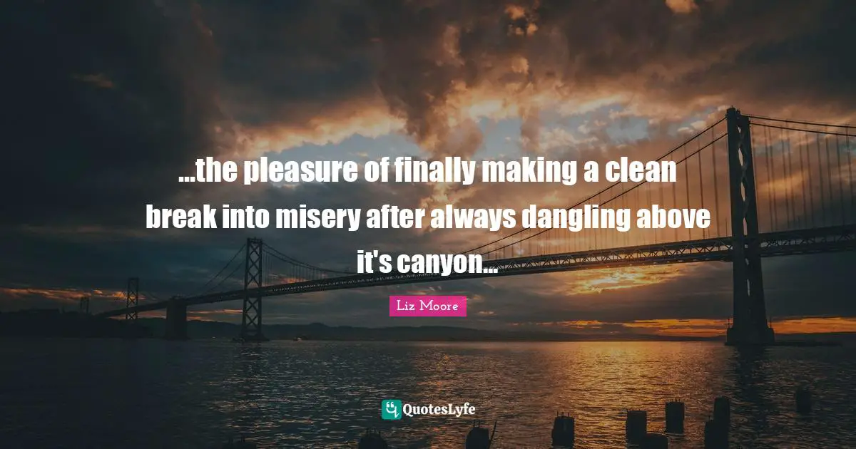 ...the pleasure of finally making a clean break into misery after always dangling above it's canyon...