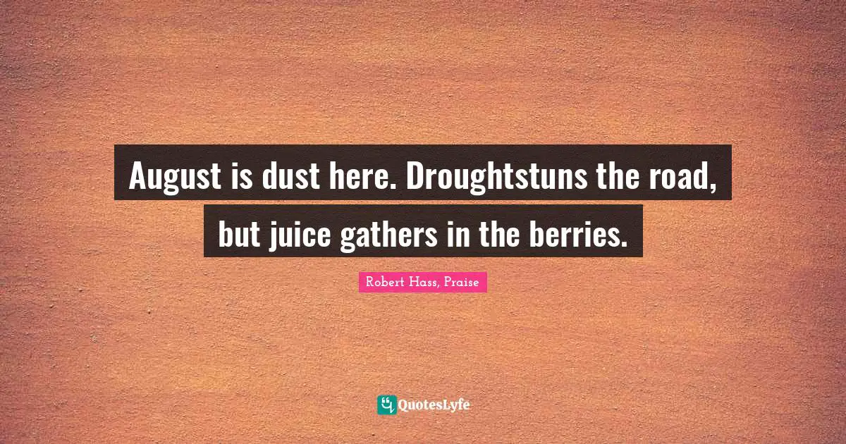 August is dust here. Droughtstuns the road, but juice gathers in the berries.
