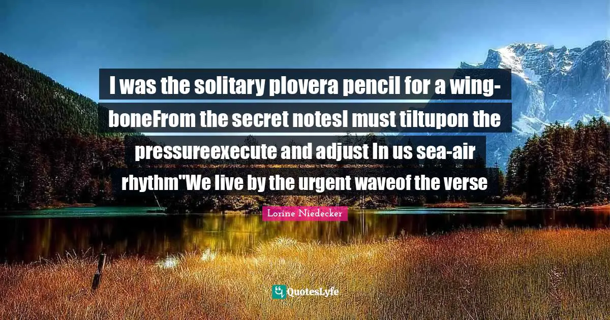 I was the solitary plovera pencil for a wing-boneFrom the secret notesI must tiltupon the pressureexecute and adjust In us sea-air rhythm"We live by the urgent waveof the verse