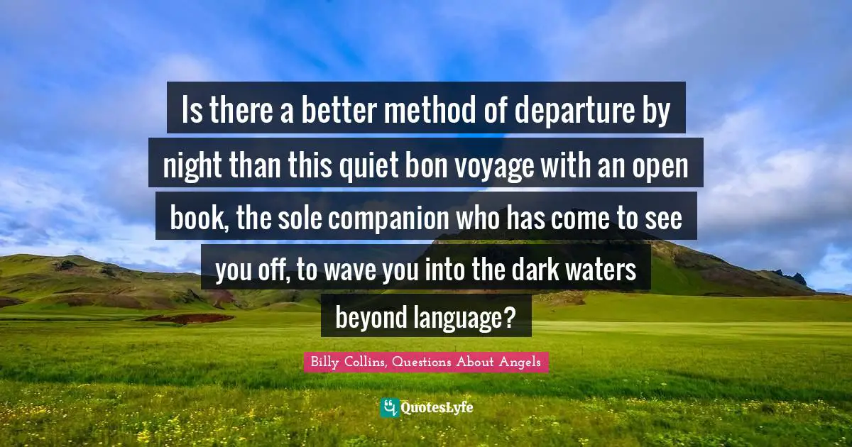 Is there a better method of departure by night than this quiet bon voyage with an open book, the sole companion who has come to see you off, to wave you into the dark waters beyond language?
