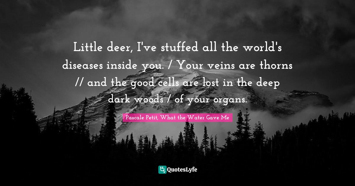 Little deer, I've stuffed all the world's diseases inside you. / Your veins are thorns // and the good cells are lost in the deep dark woods / of your organs.