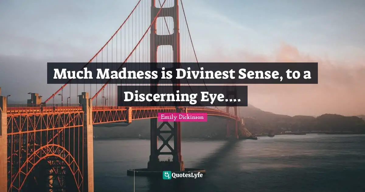 Much Madness is Divinest Sense, to a Discerning Eye....
