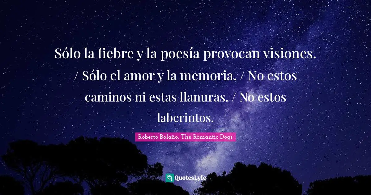 Sólo la fiebre y la poesía provocan visiones. / Sólo el amor y la memoria. / No estos caminos ni estas llanuras. / No estos laberintos.