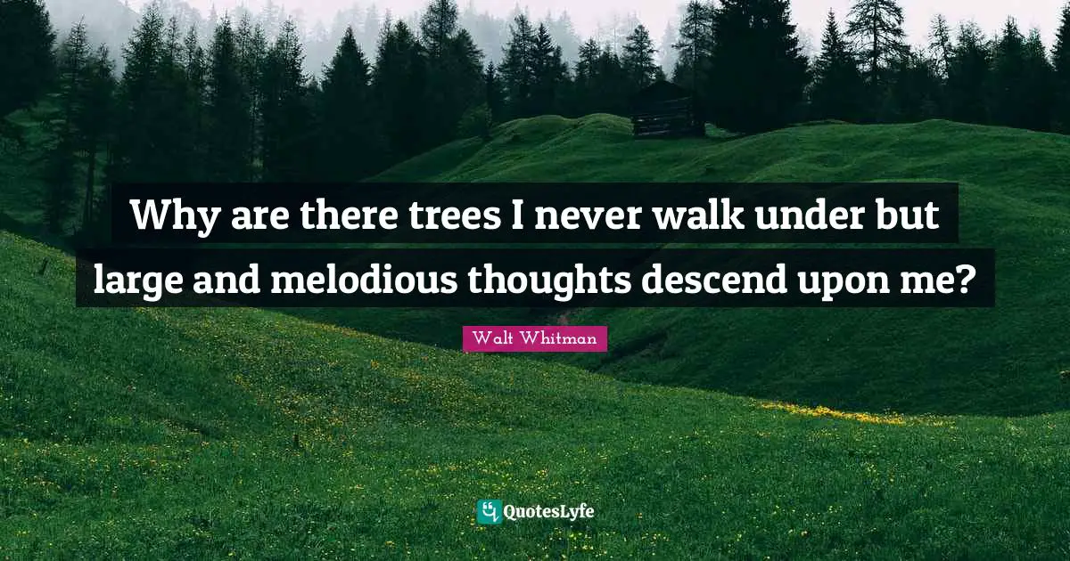 Why are there trees I never walk under but large and melodious thoughts descend upon me?