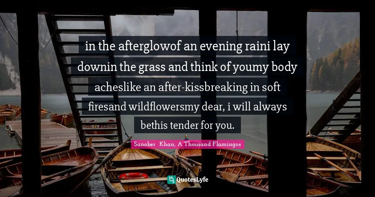 Sanober  Khan, A Thousand Flamingos Quotes: "in the afterglowof an evening raini lay downin the grass and think of youmy body acheslike an after-kissbreaking in soft firesand wildflowersmy dear, i will always bethis tender for you."