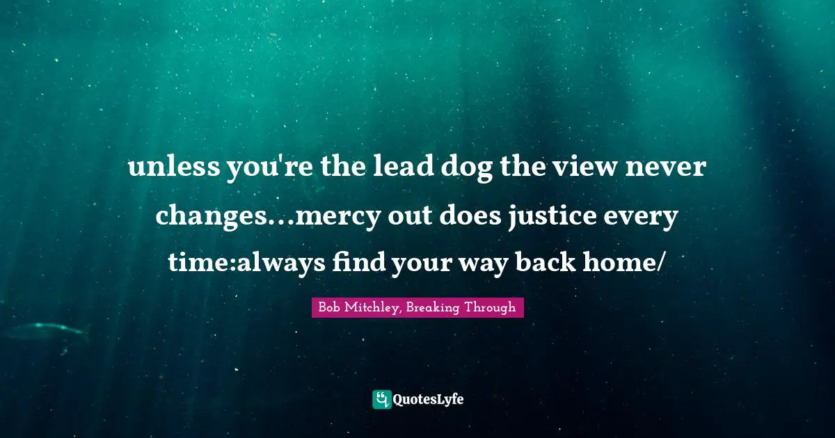 unless you're the lead dog the view never changes...mercy out does justice every time:always find your way back home/