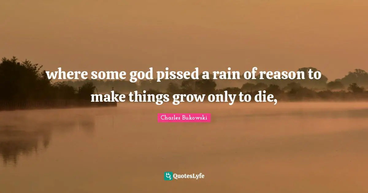 where some god pissed a rain of reason to make things grow only to die, 