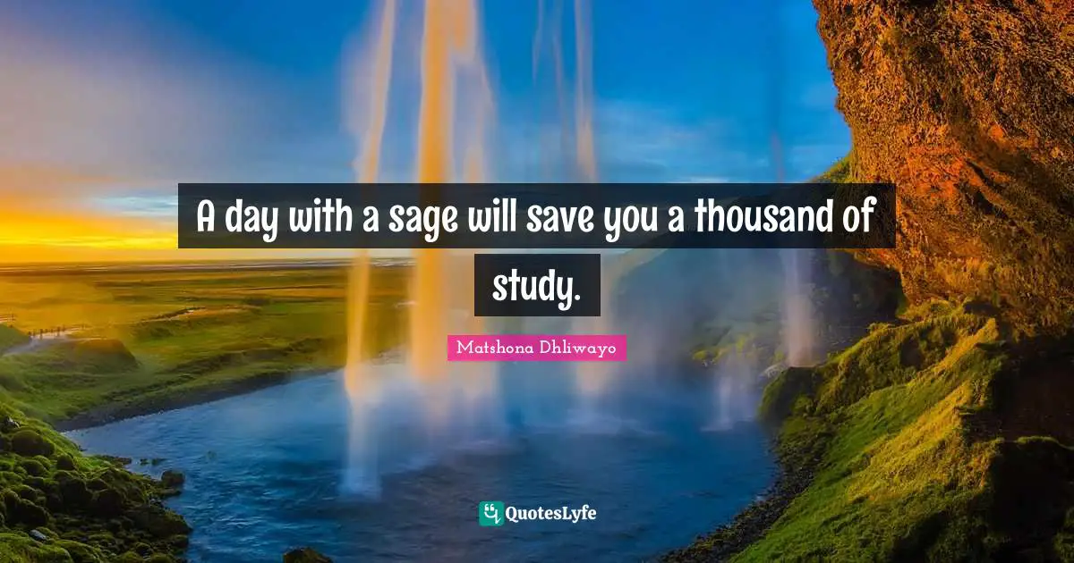 A day with a sage will save you a thousand of study.