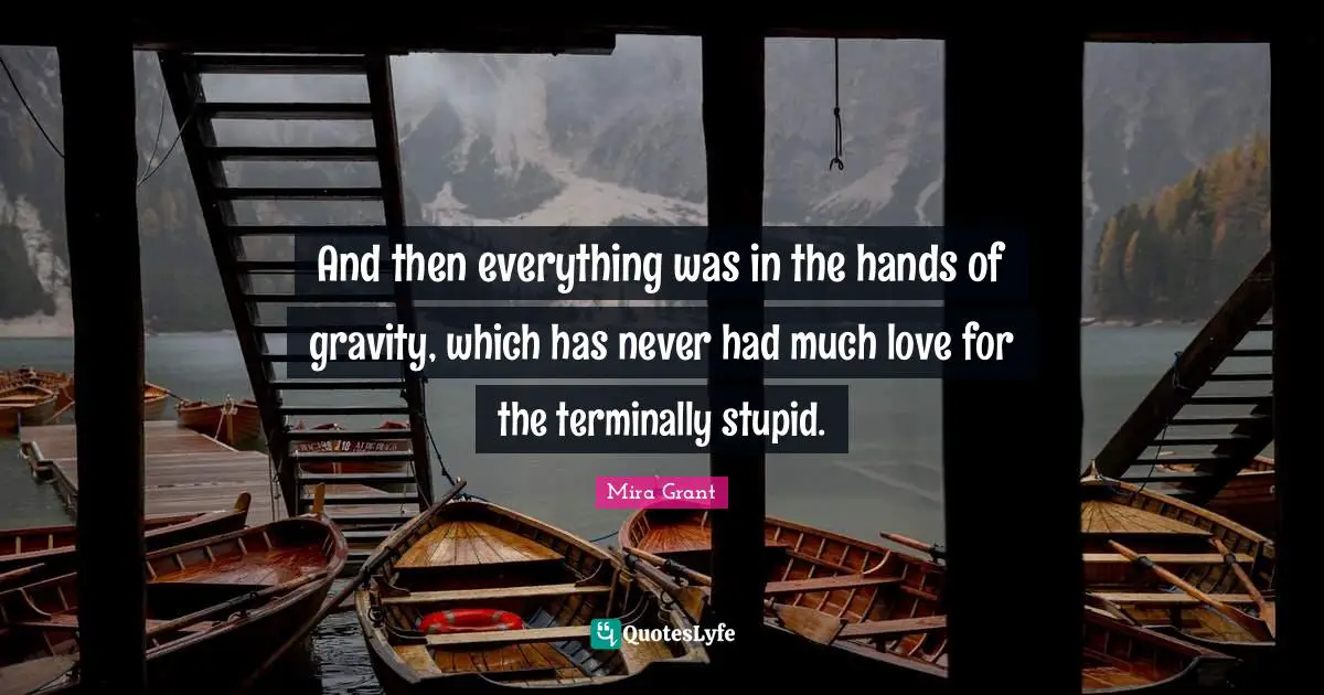 And then everything was in the hands of gravity, which has never had much love for the terminally stupid.