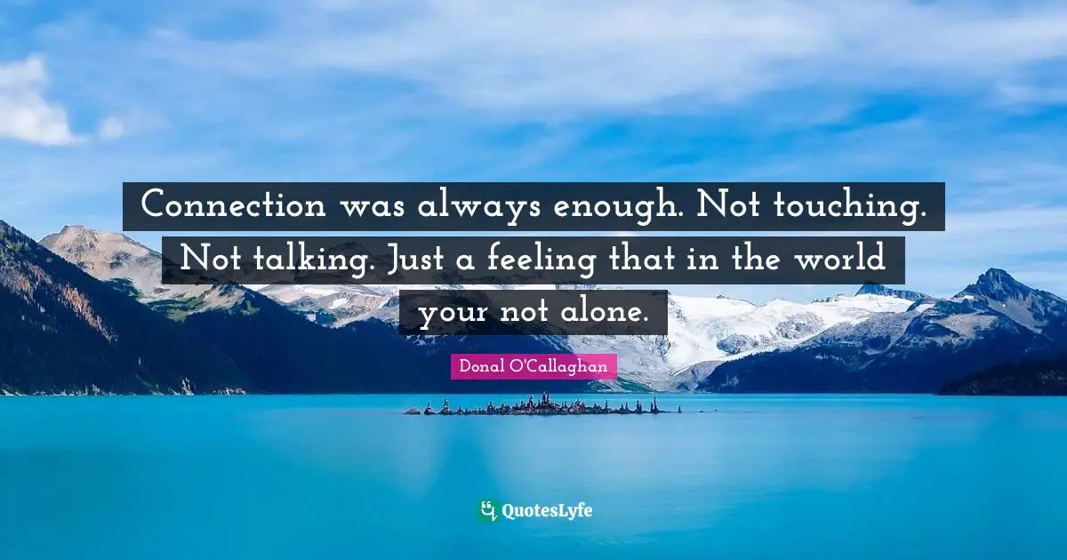 Donal O'Callaghan Quotes: "Connection was always enough. Not touching. Not talking. Just a feeling that in the world your not alone."