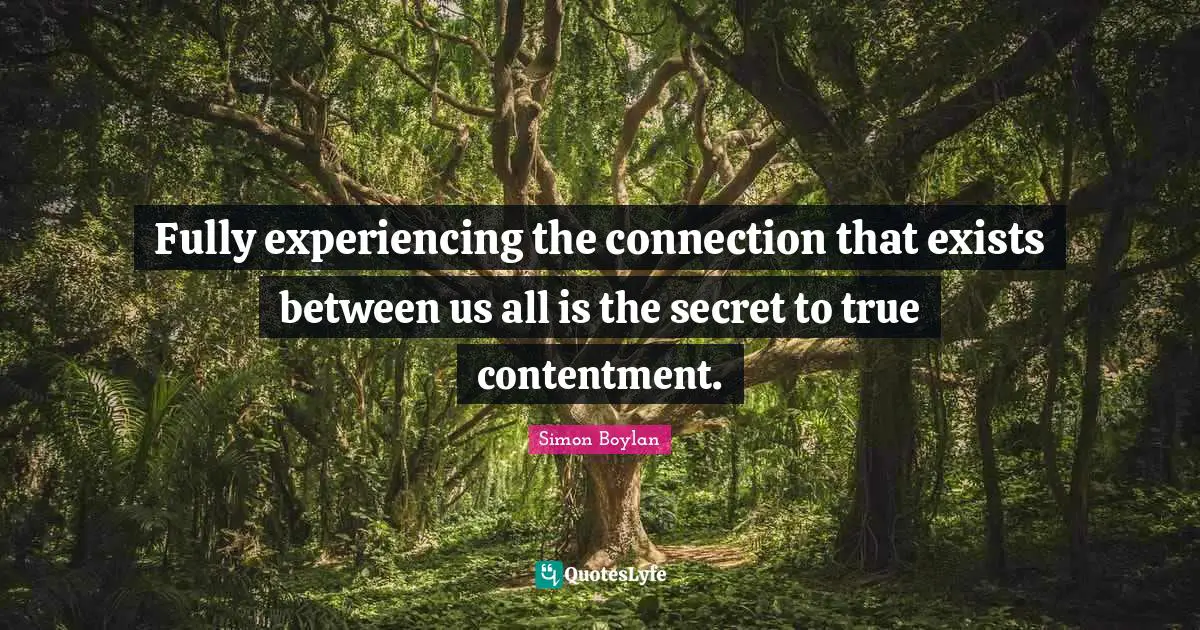 Fully experiencing the connection that exists between us all is the secret to true contentment.