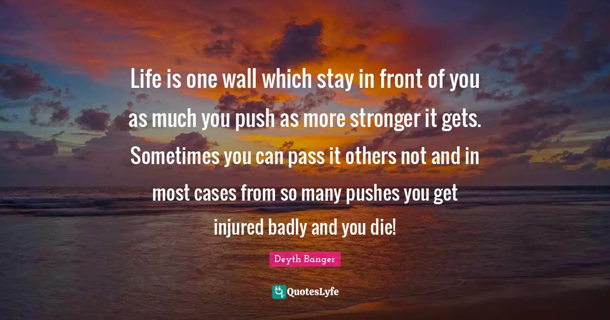 Life is one wall which stay in front of you as much you push as more stronger it gets. Sometimes you can pass it others not and in most cases from so many pushes you get injured badly and you die!