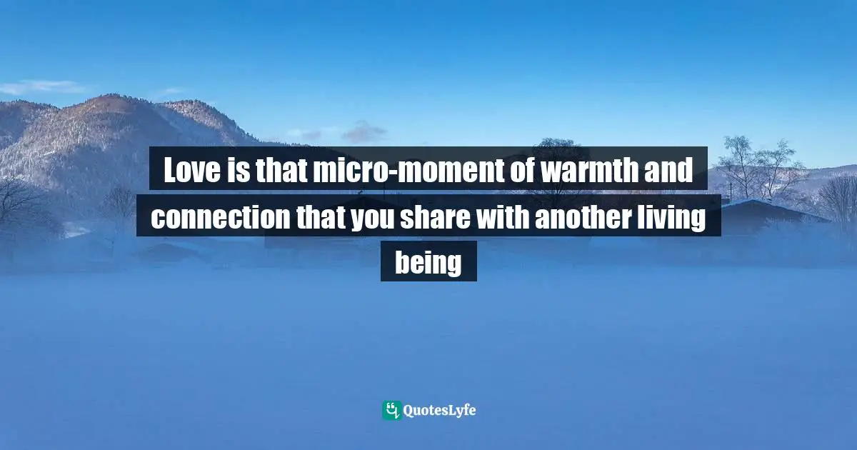 Connection Quotes: "Love is that micro-moment of warmth and connection that you share with another living being"