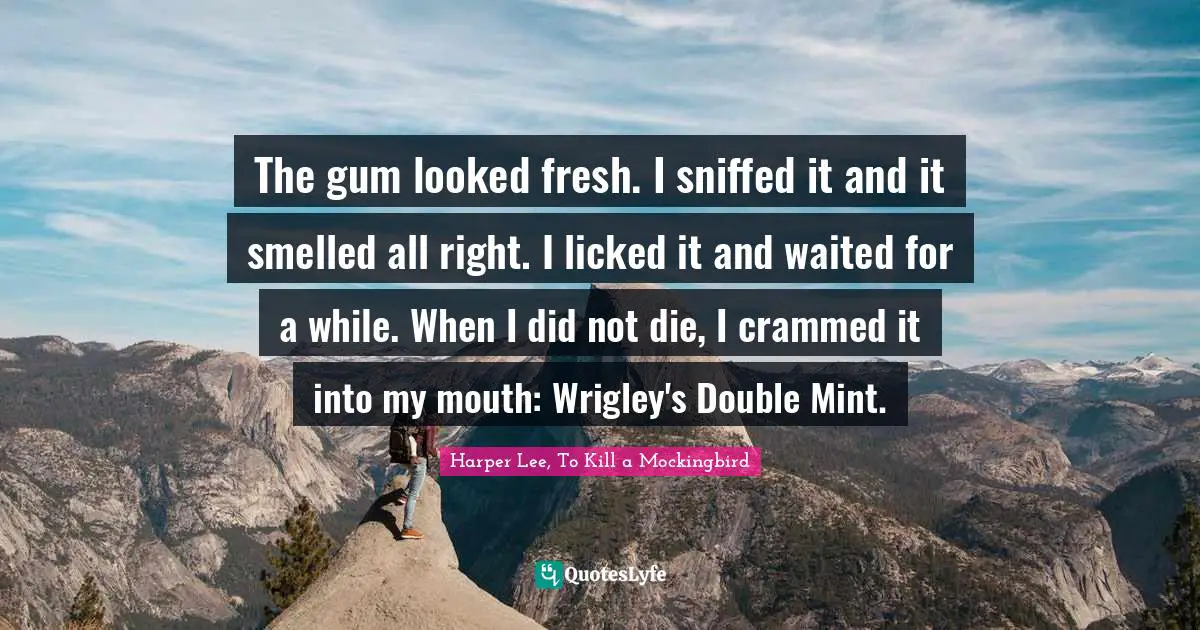 The gum looked fresh. I sniffed it and it smelled all right. I licked it and waited for a while. When I did not die, I crammed it into my mouth: Wrigley's Double Mint.