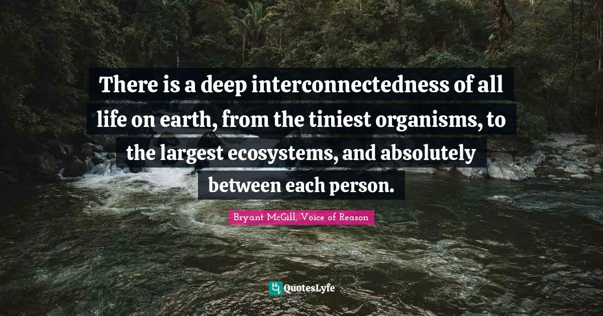 Ecosystem Quotes: "There is a deep interconnectedness of all life on earth, from the tiniest organisms, to the largest ecosystems, and absolutely between each person."