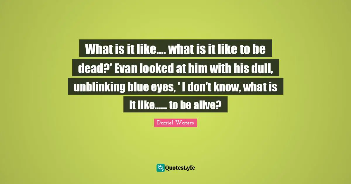 What is it like.... what is it like to be dead?' Evan looked at him with his dull, unblinking blue eyes, ' I don't know, what is it like...... to be alive?