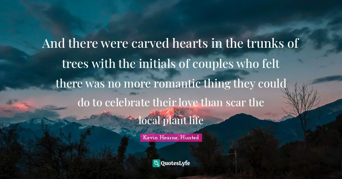 And there were carved hearts in the trunks of trees with the initials of couples who felt there was no more romantic thing they could do to celebrate their love than scar the local plant life