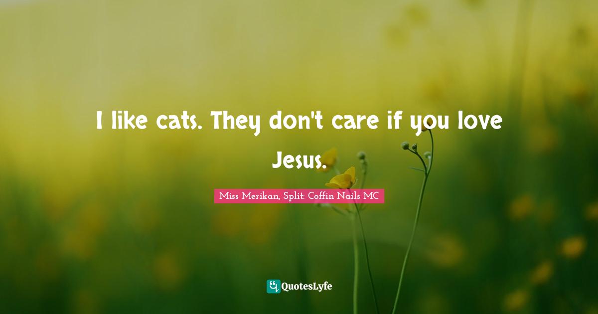 I like cats. They don't care if you love Jesus.