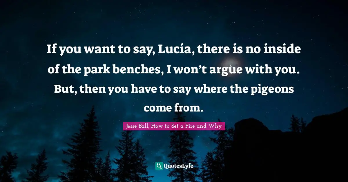 Funny And Random Quotes: "If you want to say, Lucia, there is no inside of the park benches, I won’t argue with you. But, then you have to say where the pigeons come from."