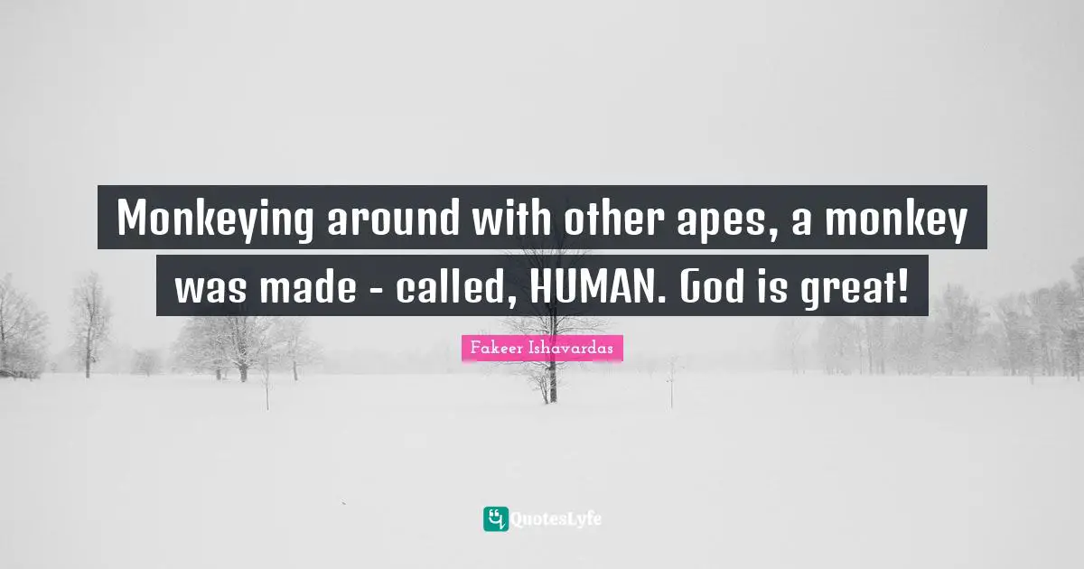 Monkeying around with other apes, a monkey was made - called, HUMAN. God is great!
