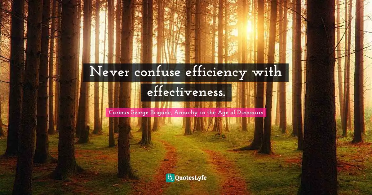 Never confuse efficiency with effectiveness.
