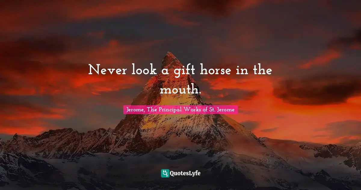 Never look a gift horse in the mouth.