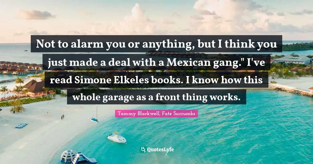 Not to alarm you or anything, but I think you just made a deal with a Mexican gang." I've read Simone Elkeles books. I know how this whole garage as a front thing works.
