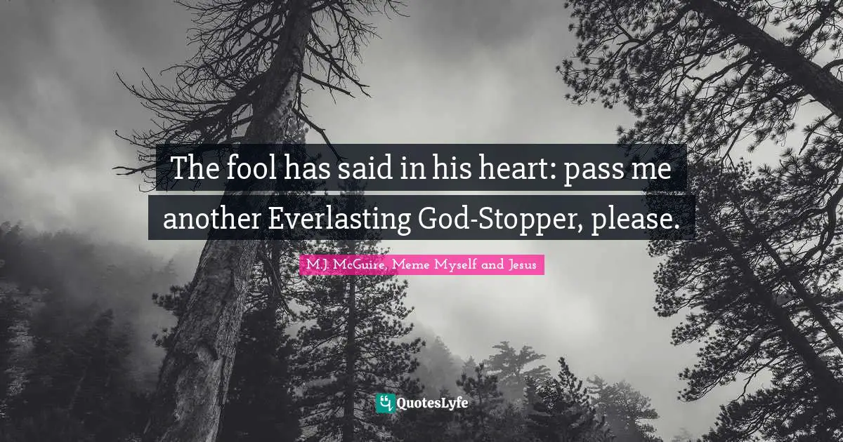M.J. McGuire, Meme Myself And Jesus Quotes: "The fool has said in his heart: pass me another Everlasting God-Stopper, please."