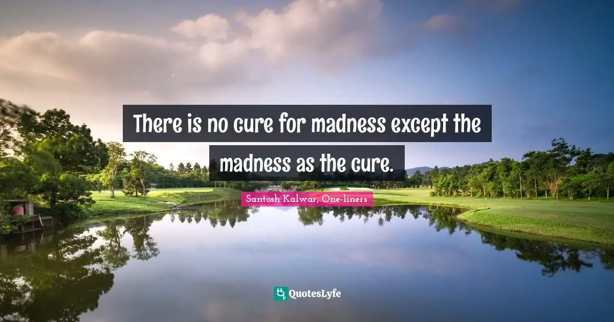 Madness And Civilization Quotes: "There is no cure for madness except the madness as the cure."