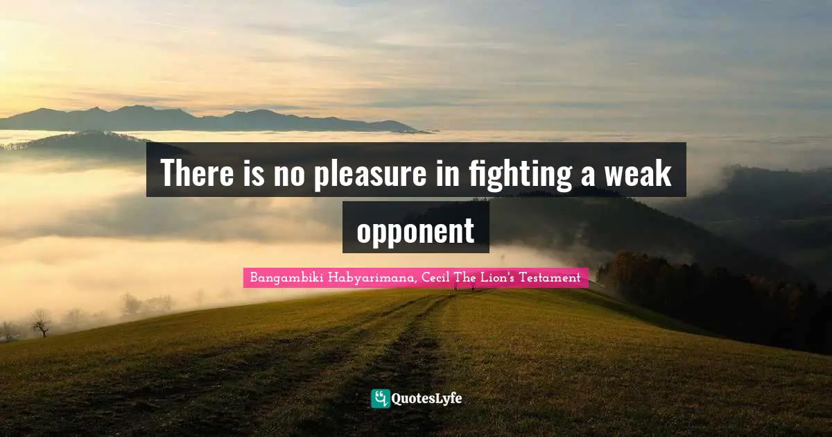 There is no pleasure in fighting a weak opponent