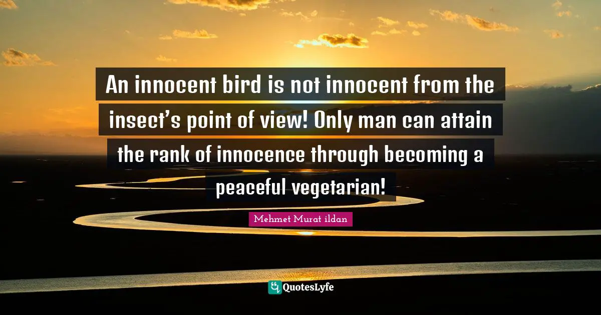 An innocent bird is not innocent from the insect’s point of view! Only man can attain the rank of innocence through becoming a peaceful vegetarian!