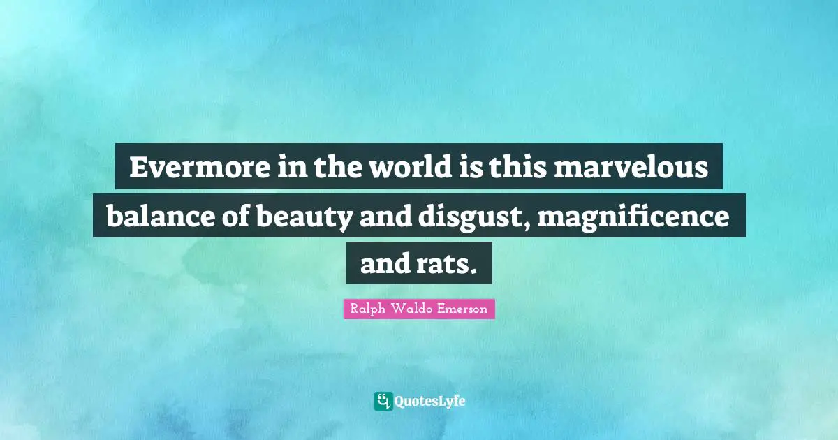 Evermore in the world is this marvelous balance of beauty and disgust, magnificence and rats.