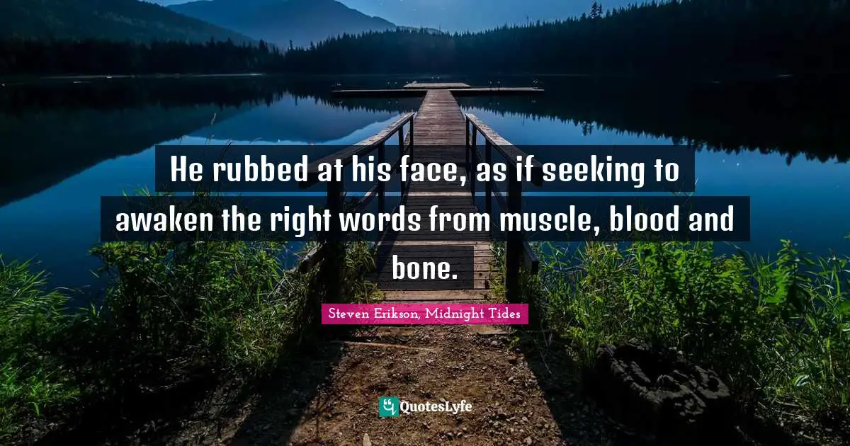 He rubbed at his face, as if seeking to awaken the right words from muscle, blood and bone.